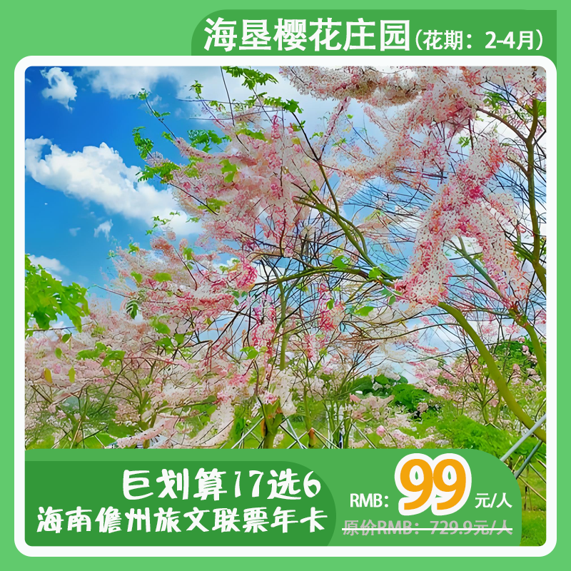 东坡文化节